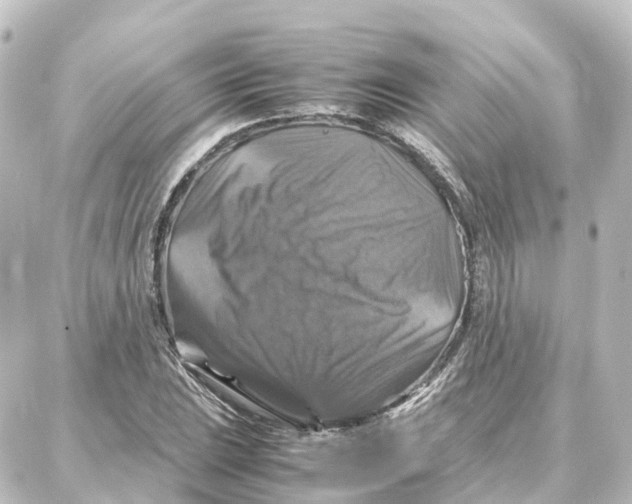 X0000087711023200705251753