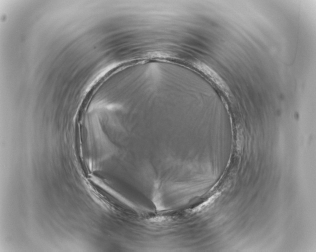 X0000087711031200705251753