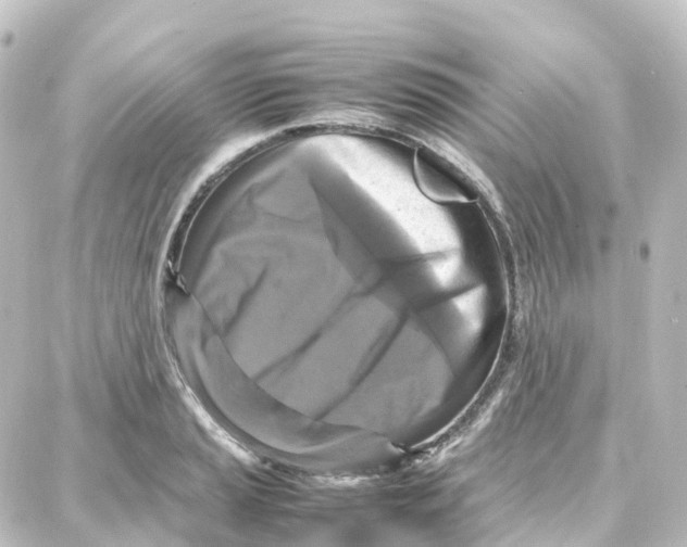 X0000087711037200705251753