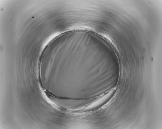 X0000087711038200705251753