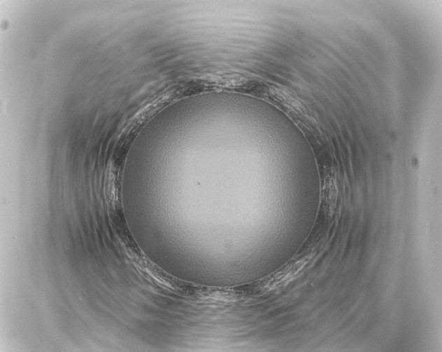 X0000087711058200705251753