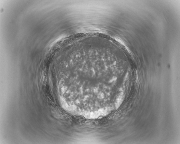 X0000087711063200705251753