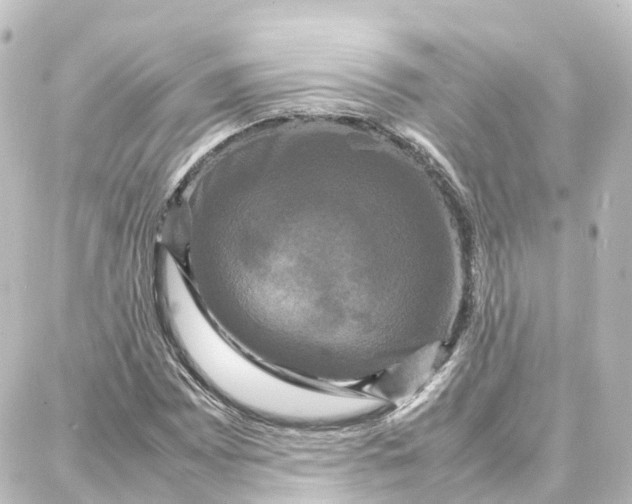 X0000087711065200705251753