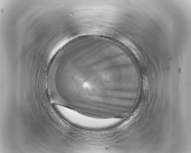 X0000087711069200705251753