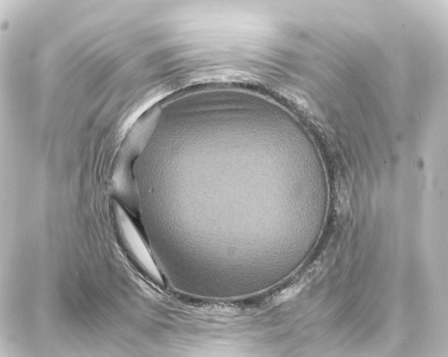 X0000087711073200705251752
