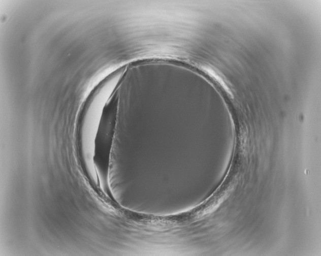 X0000087711077200705251752