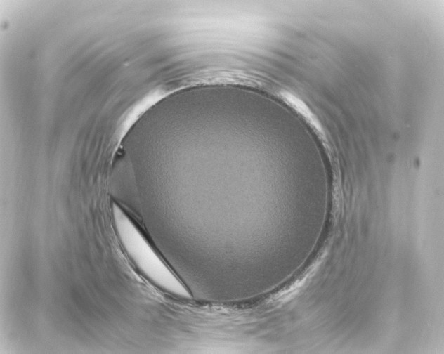 X0000087711089200705251752