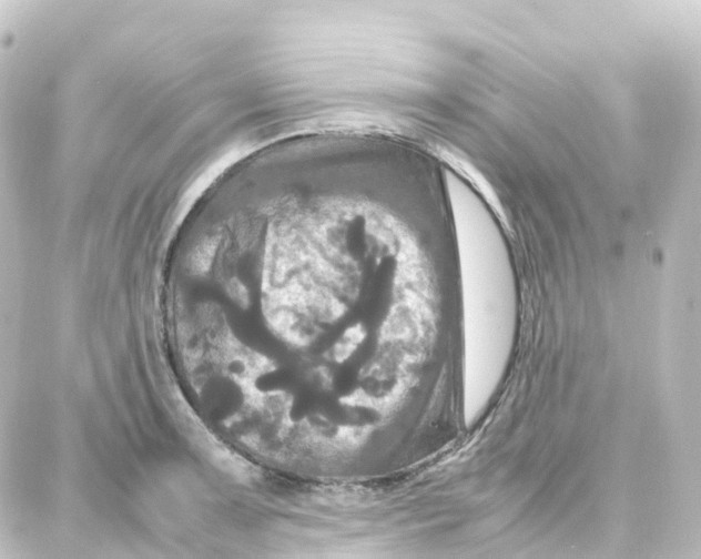 X0000087711091200705251752