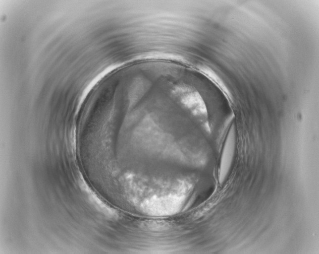 X0000087711092200705251752