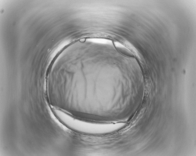 X0000087711095200705251752