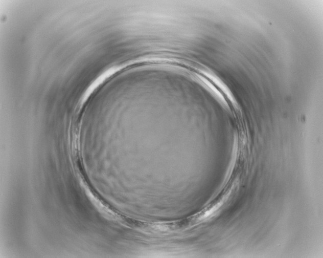 X0000087711101200705251752