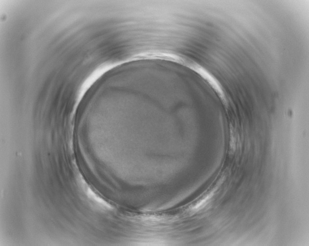 X0000087711102200705251752