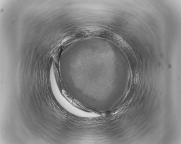 X0000087711108200705251751