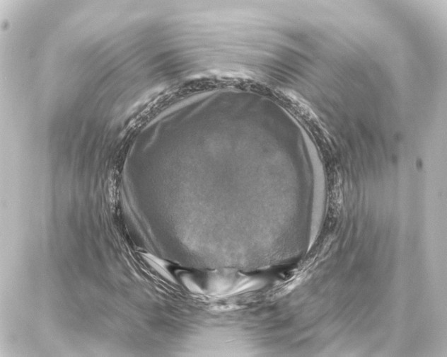 X0000087711110200705251751