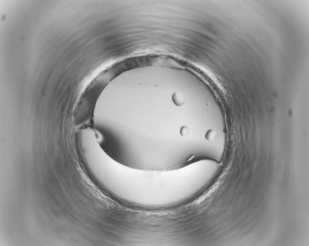 X0000087711118200705251751