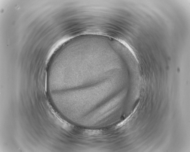 X0000087711123200705251752