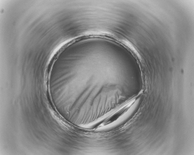 X0000087711124200705251752