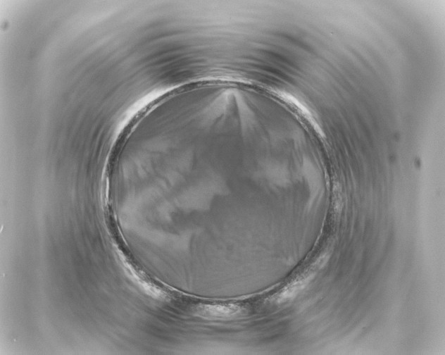 X0000087711125200705251752