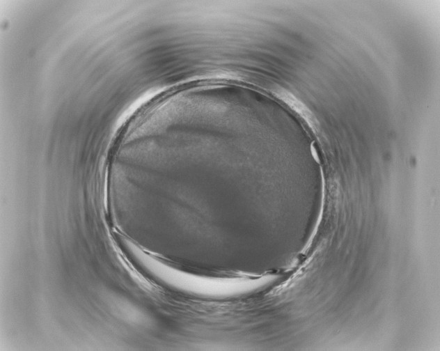 X0000087711127200705251752