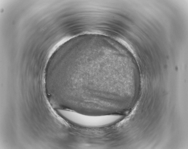 X0000087711133200705251752