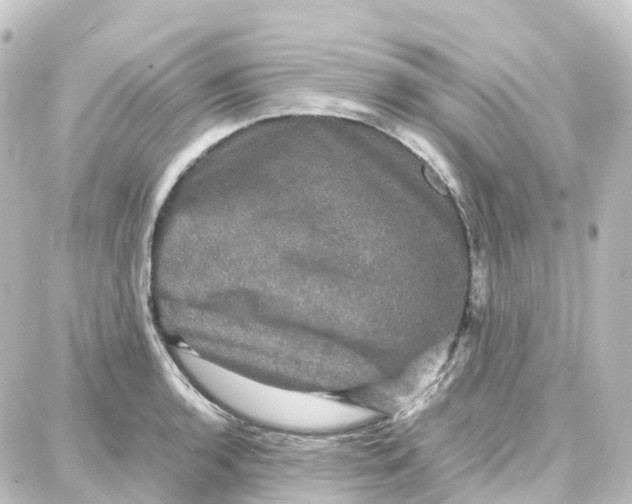 X0000087711136200705251752