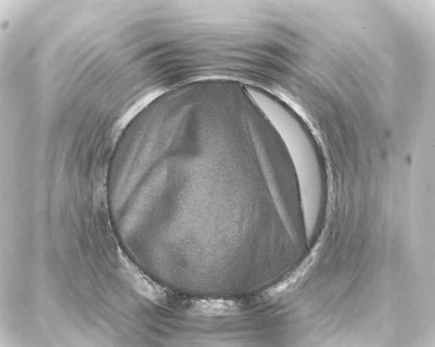 X0000087711137200705251752