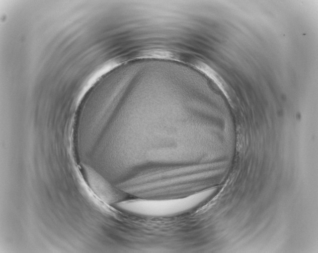 X0000087711139200705251752