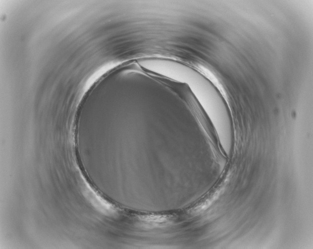 X0000087711141200705251752
