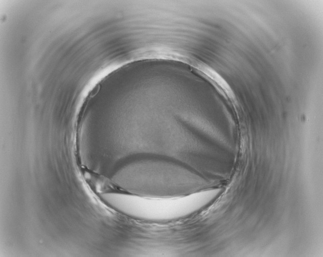 X0000087711144200705251752