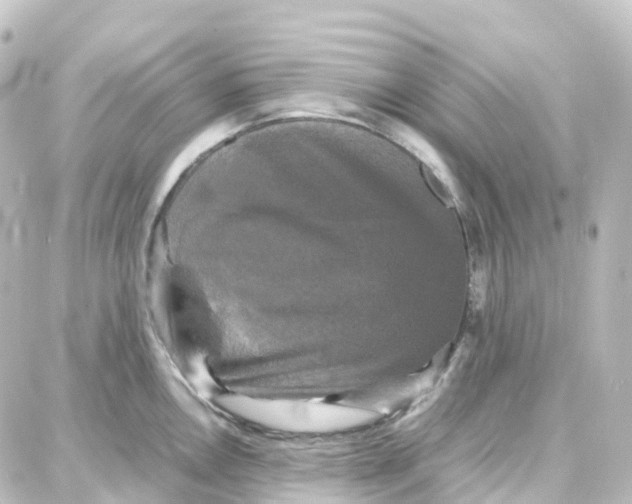 X0000087711146200705251752