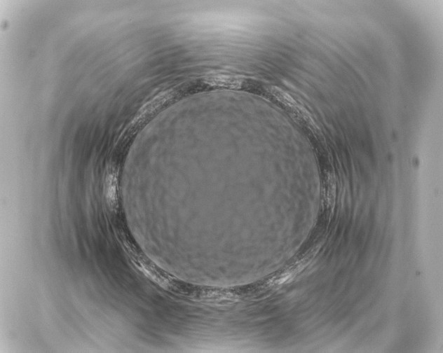 X0000087711154200705251751