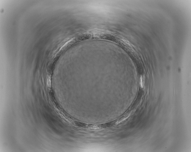 X0000087711155200705251751