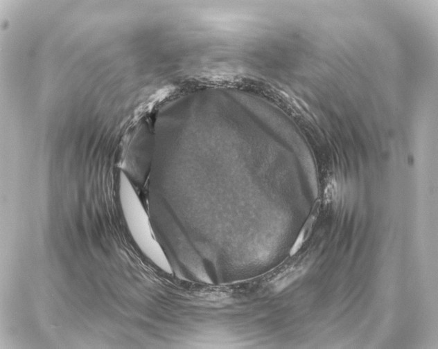 X0000087711156200705251751