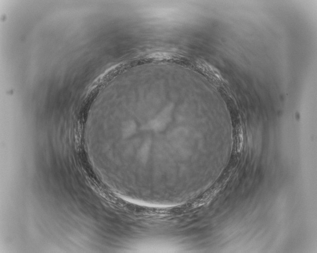 X0000087711158200705251751