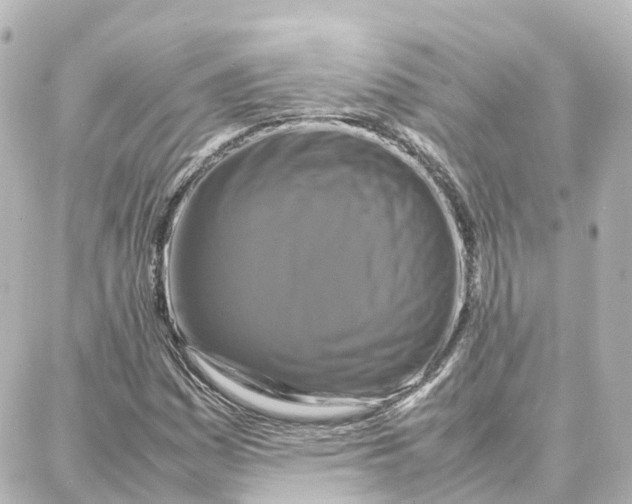 X0000087711161200705251751