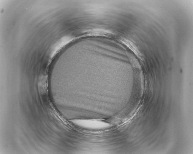 X0000087711164200705251751