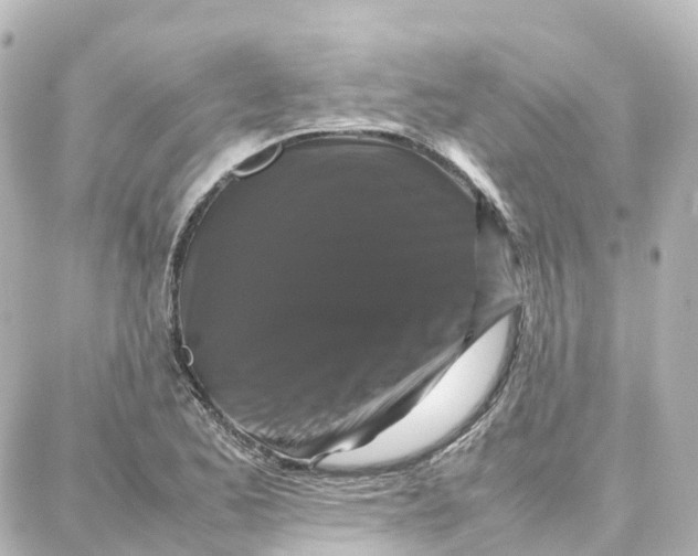 X0000087711173200705251751