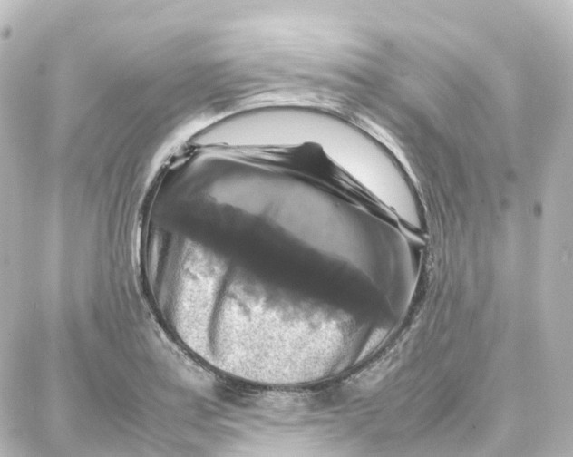 X0000087711179200705251751