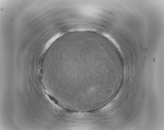 X0000087711185200705251751