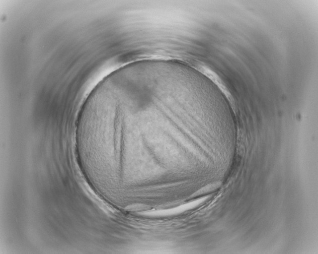 X0000087711187200705251751