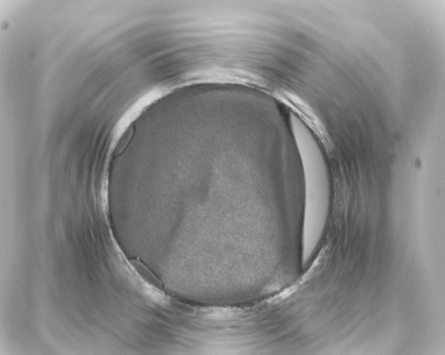 X0000087711188200705251751