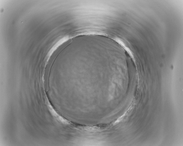 X0000087711189200705251751