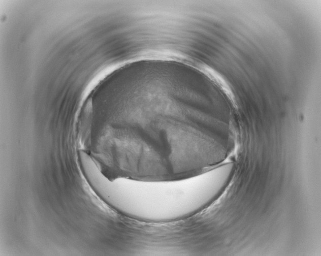 X0000087711192200705251751