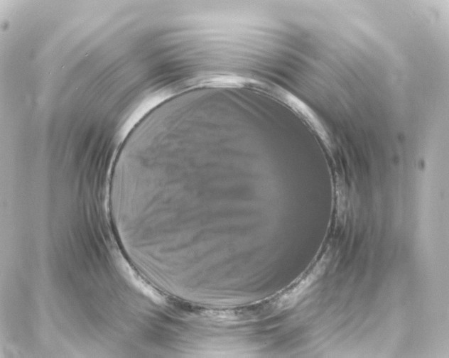 X0000087711194200705251751