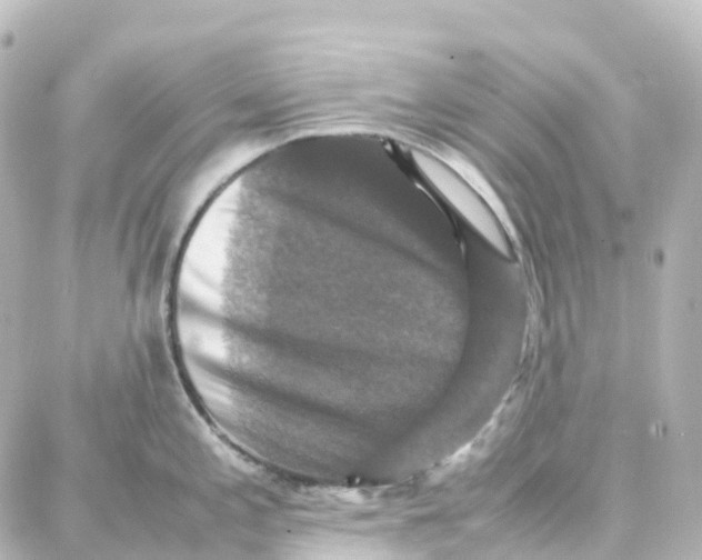 X0000087711197200705251750