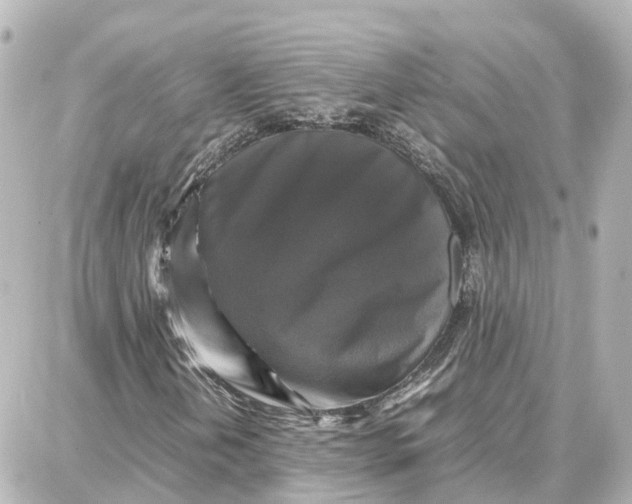 X0000087711202200705251750