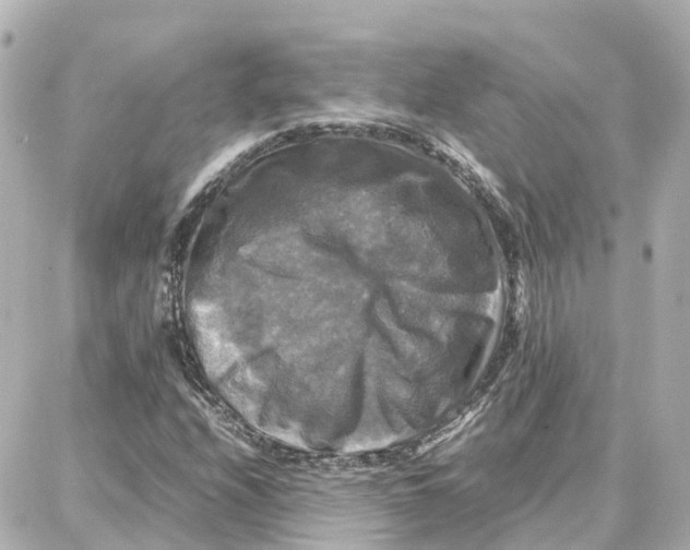 X0000087711208200705251750