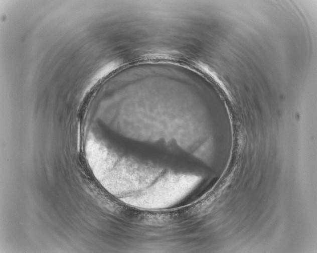 X0000087711219200705251750