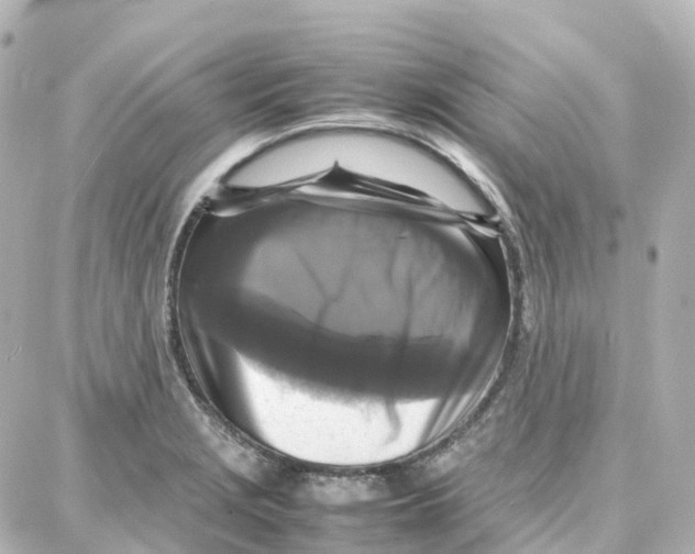 X0000087711229200705251750