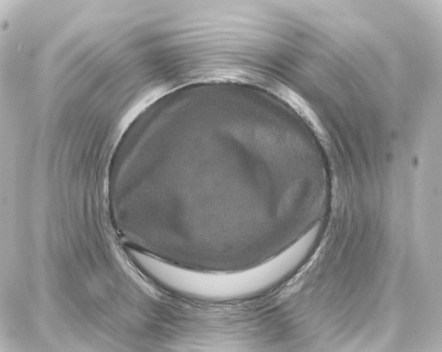 X0000087711234200705251750